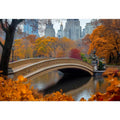Central Park