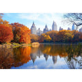 NYC Park