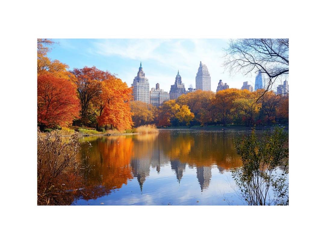 NYC Park