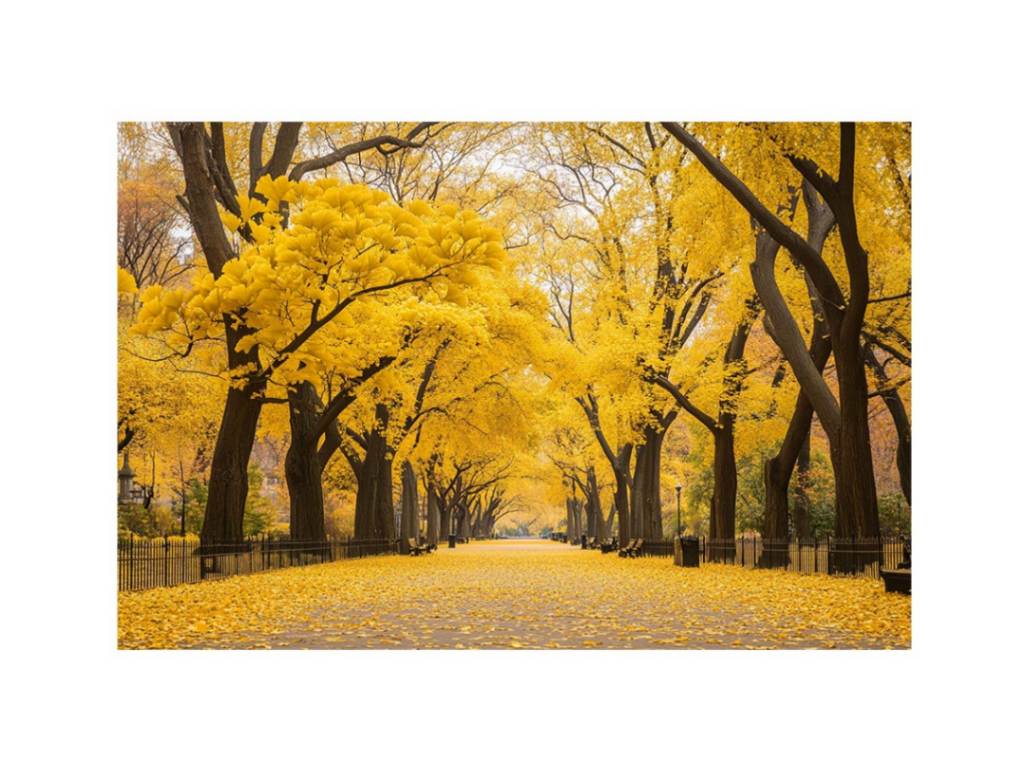 Autumn Scene