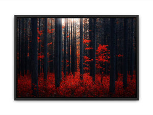 Dense Red Forest  Painting