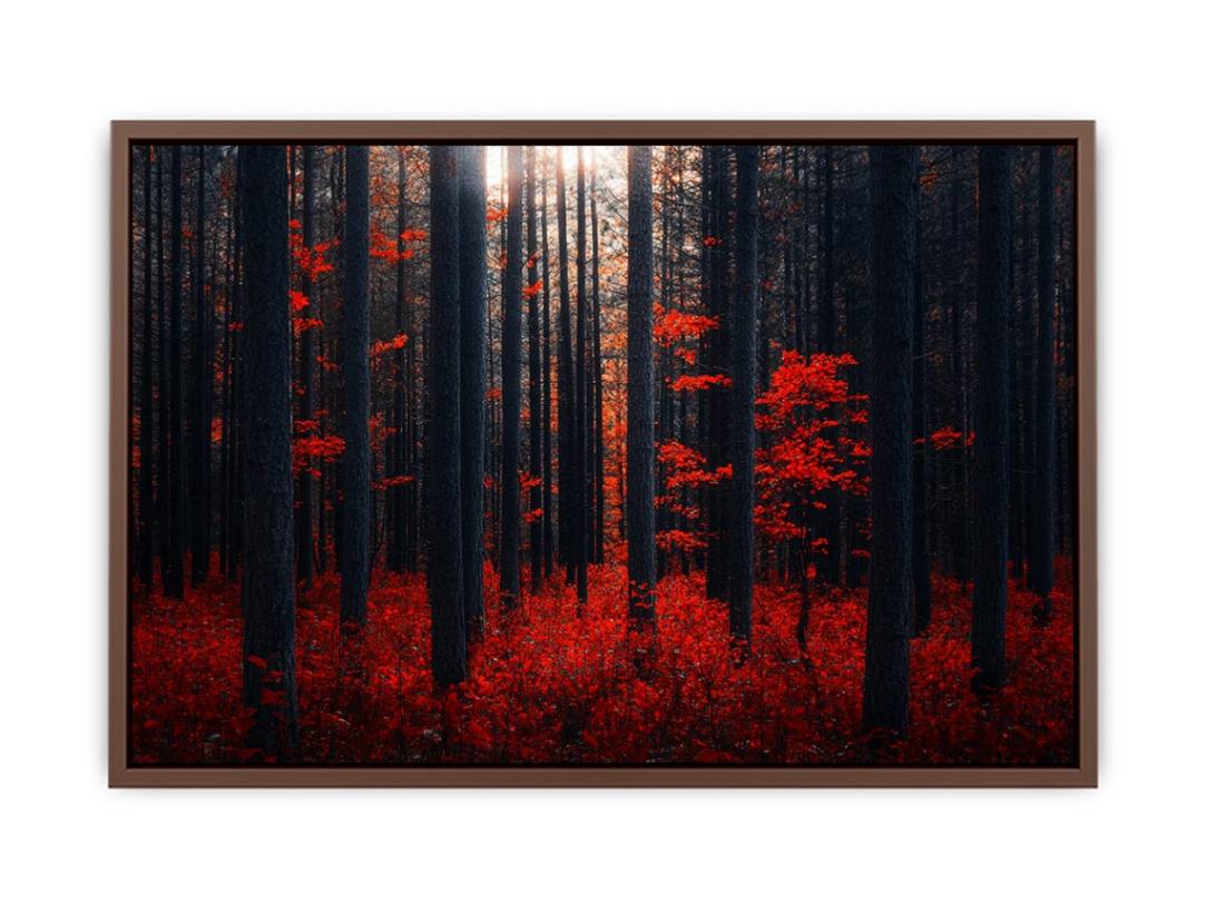 Dense Red Forest  Poster