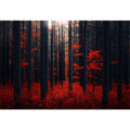 Dense Red Forest