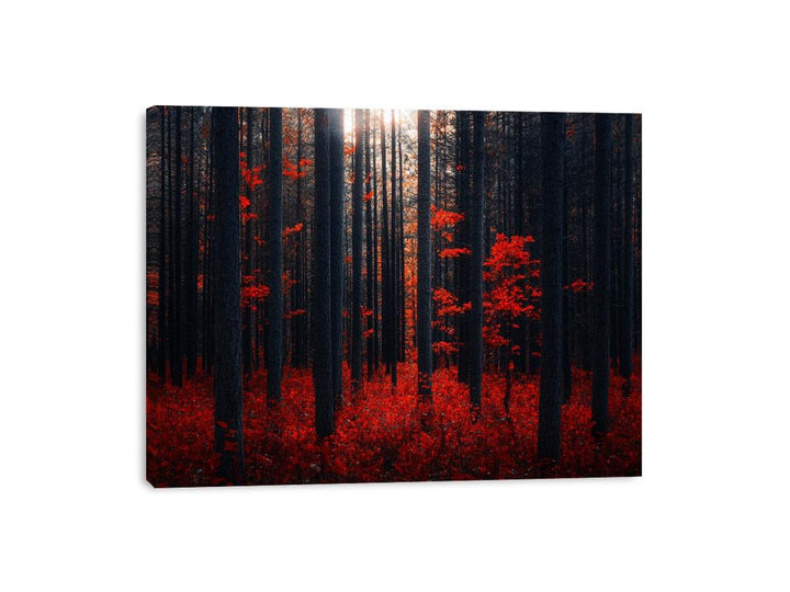 Dense Red Forest Canvas Print