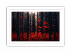 Dense Red Forest Streched canvas