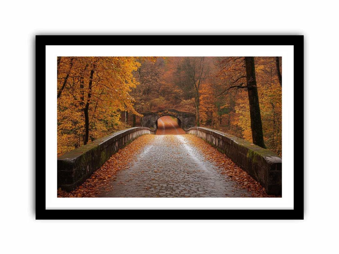 Scarlet Symphony  Art Print