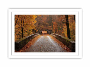 Scarlet Symphony Streched canvas