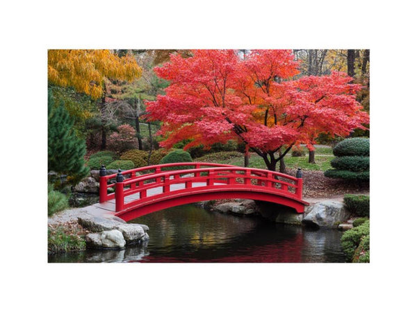 Vibrant Maple