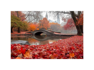 New York Park Central