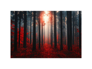Autumns  Depths