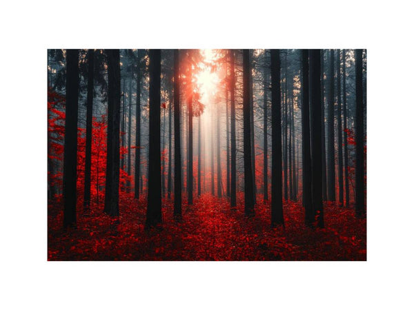 Autumns  Depths