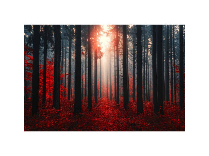 Autumns  Depths