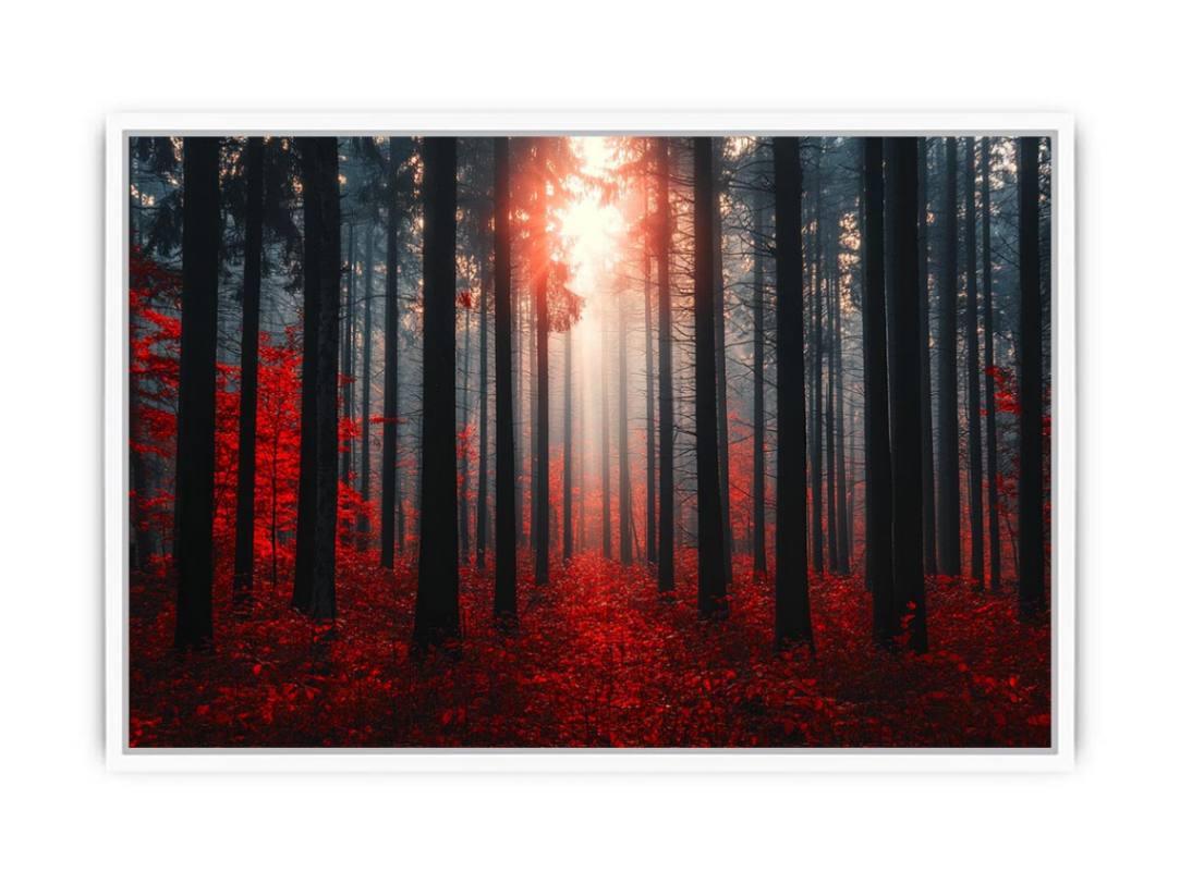 Autumns  Depths Framed Print