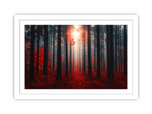 Autumns  Depths Streched canvas