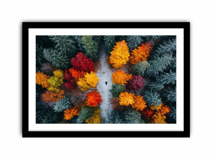 Autumn Serenade Of Trees  Art Print