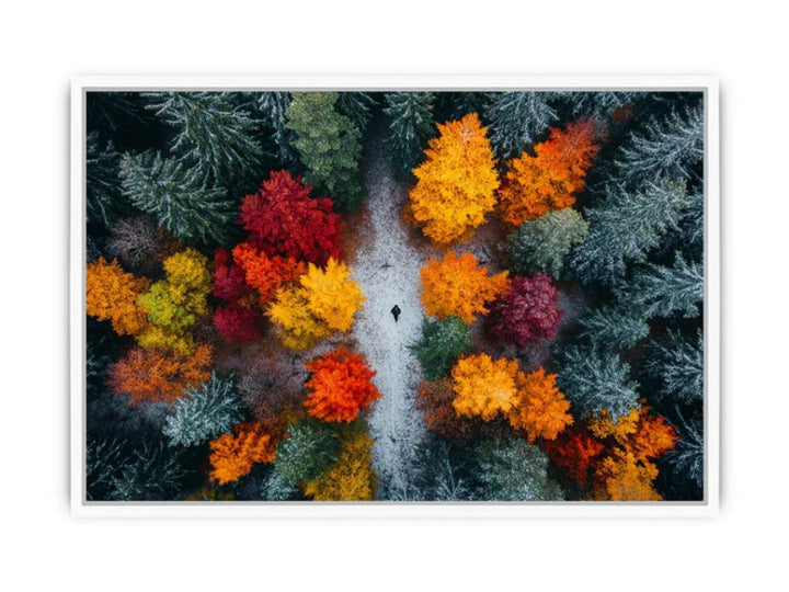 Autumn Serenade Of Trees Framed Print
