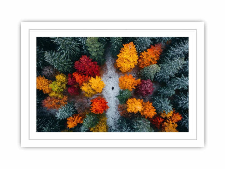 Autumn Serenade Of Trees Streched canvas