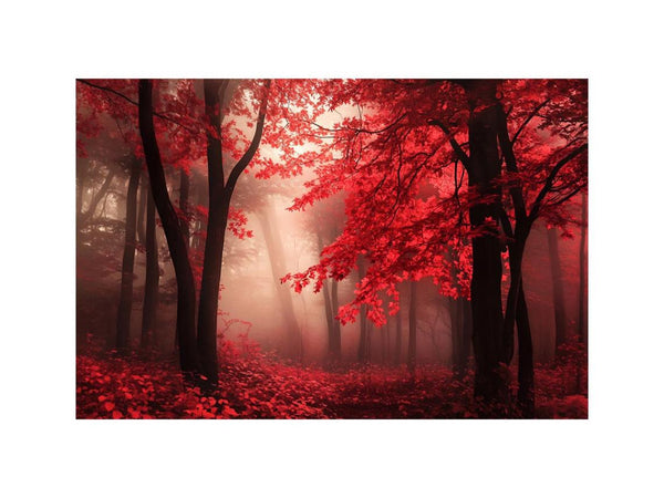 Amber Autumn Twilight