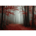 Misty  Red Forest