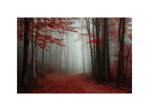 Misty  Red Forest