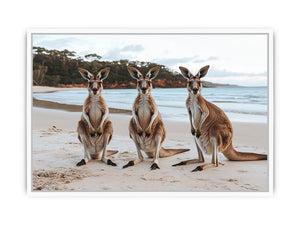 Sunset Hoppers Framed Print
