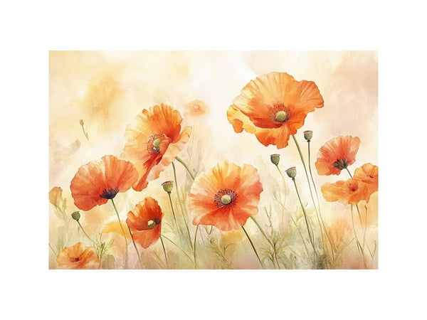 Orange Poppies 