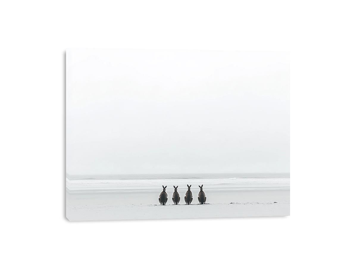 Oceanbound Roos Canvas Print