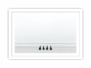 Oceanbound Roos Streched canvas