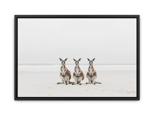 Sand & Shadows  Painting