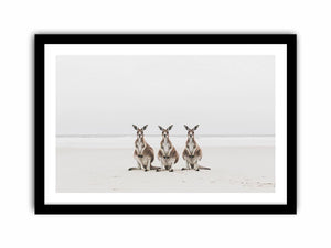 Sand & Shadows  Art Print