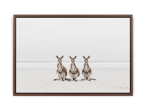 Sand & Shadows  Poster