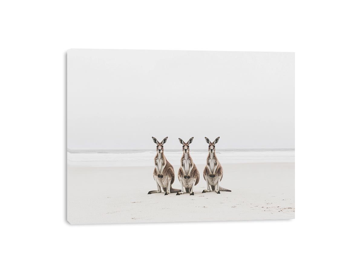 Sand & Shadows Canvas Print