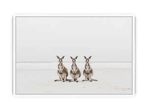Sand & Shadows Framed Print