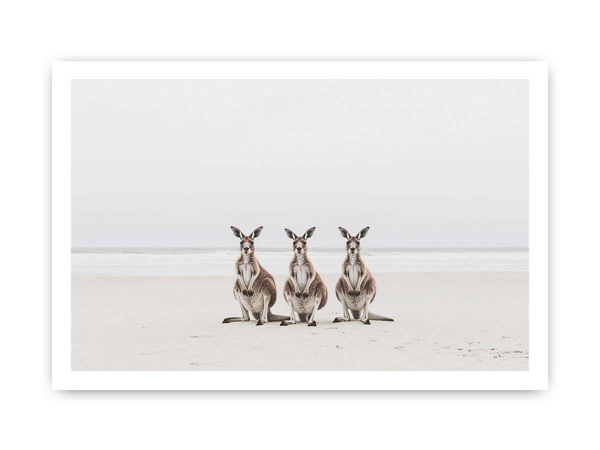 Canvas Print