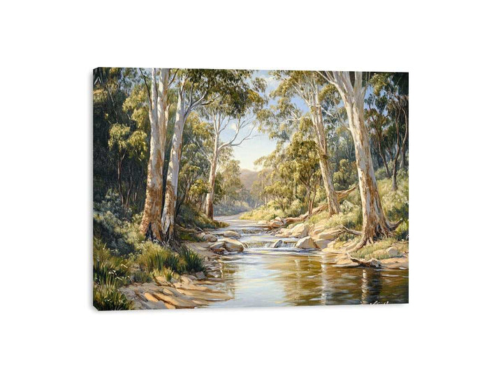 Macquarie River Canvas Print