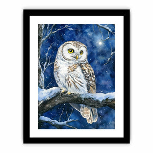 Cute Little Owl  Art Print