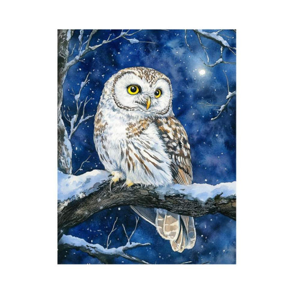 Cute Little Owl