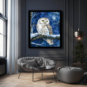 Cute Little Owl 