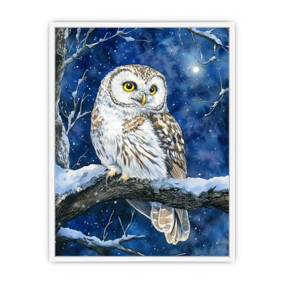 Cute Little Owl Framed Print