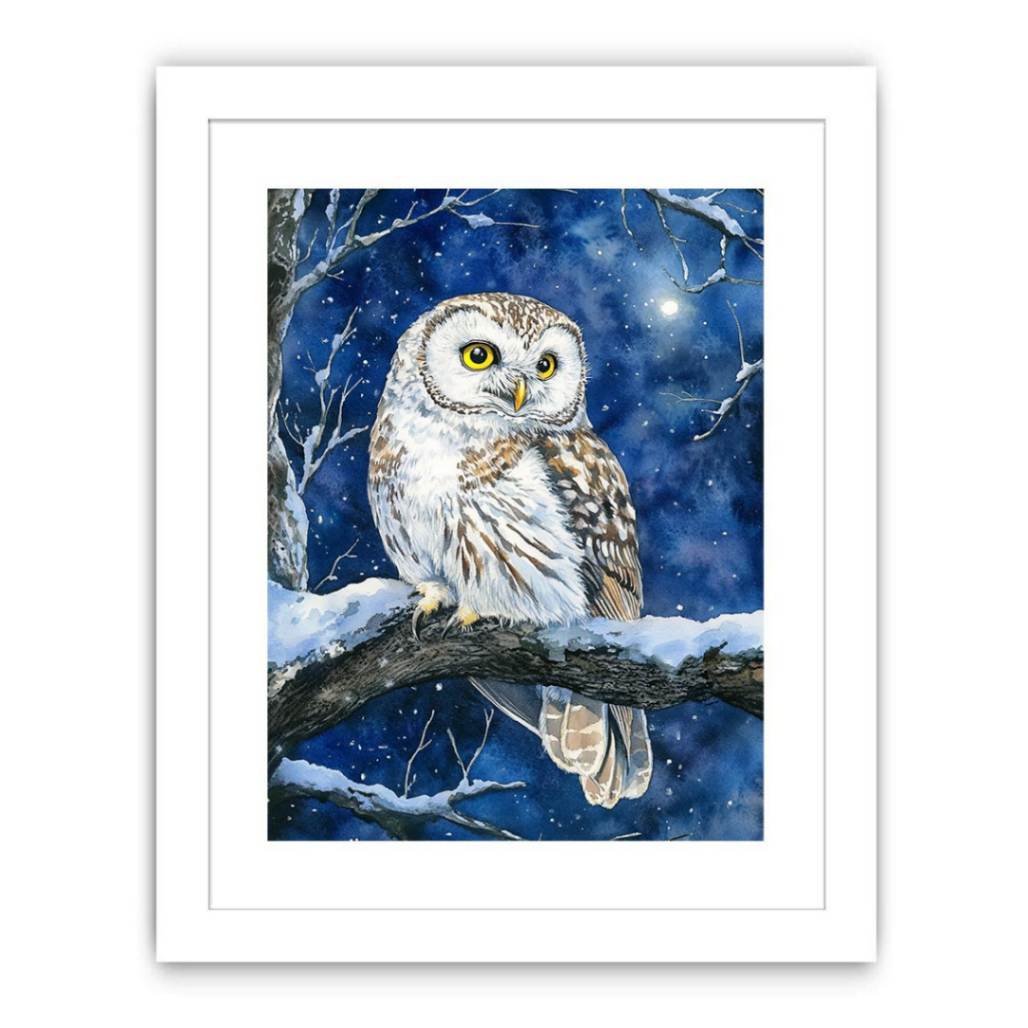 Cute Little Owl Streched canvas