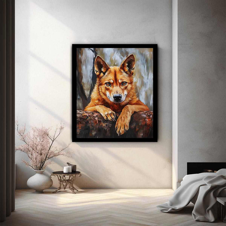 Dingo 