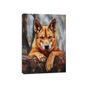 Dingo Canvas Print