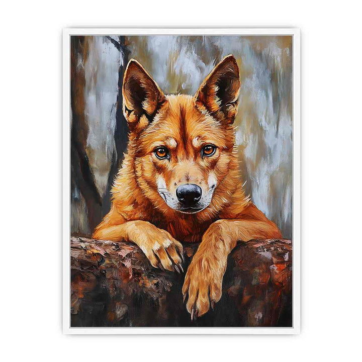 Dingo Framed Print