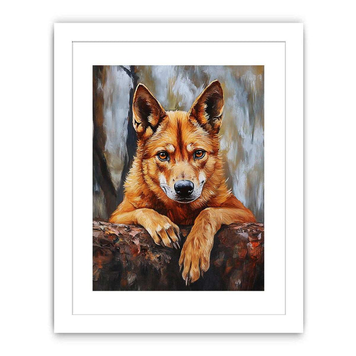 Dingo Streched canvas
