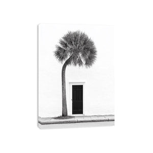 Entry Canvas Print