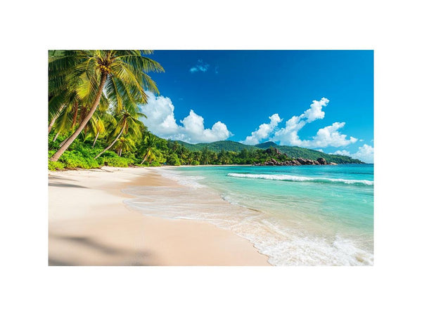 Tropical beach