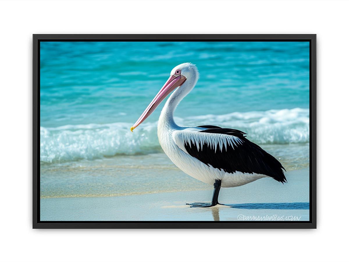 Pelican On Beach  Painting