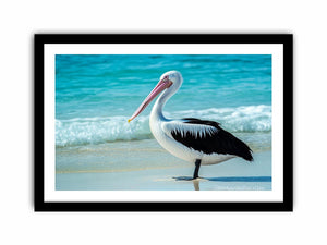 Pelican On Beach  Art Print