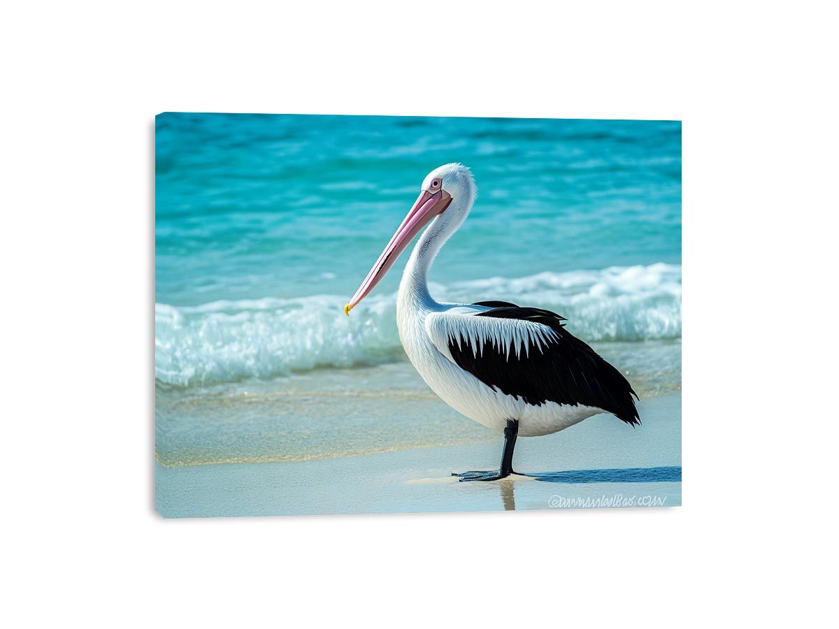 Pelican On Beach Canvas Print