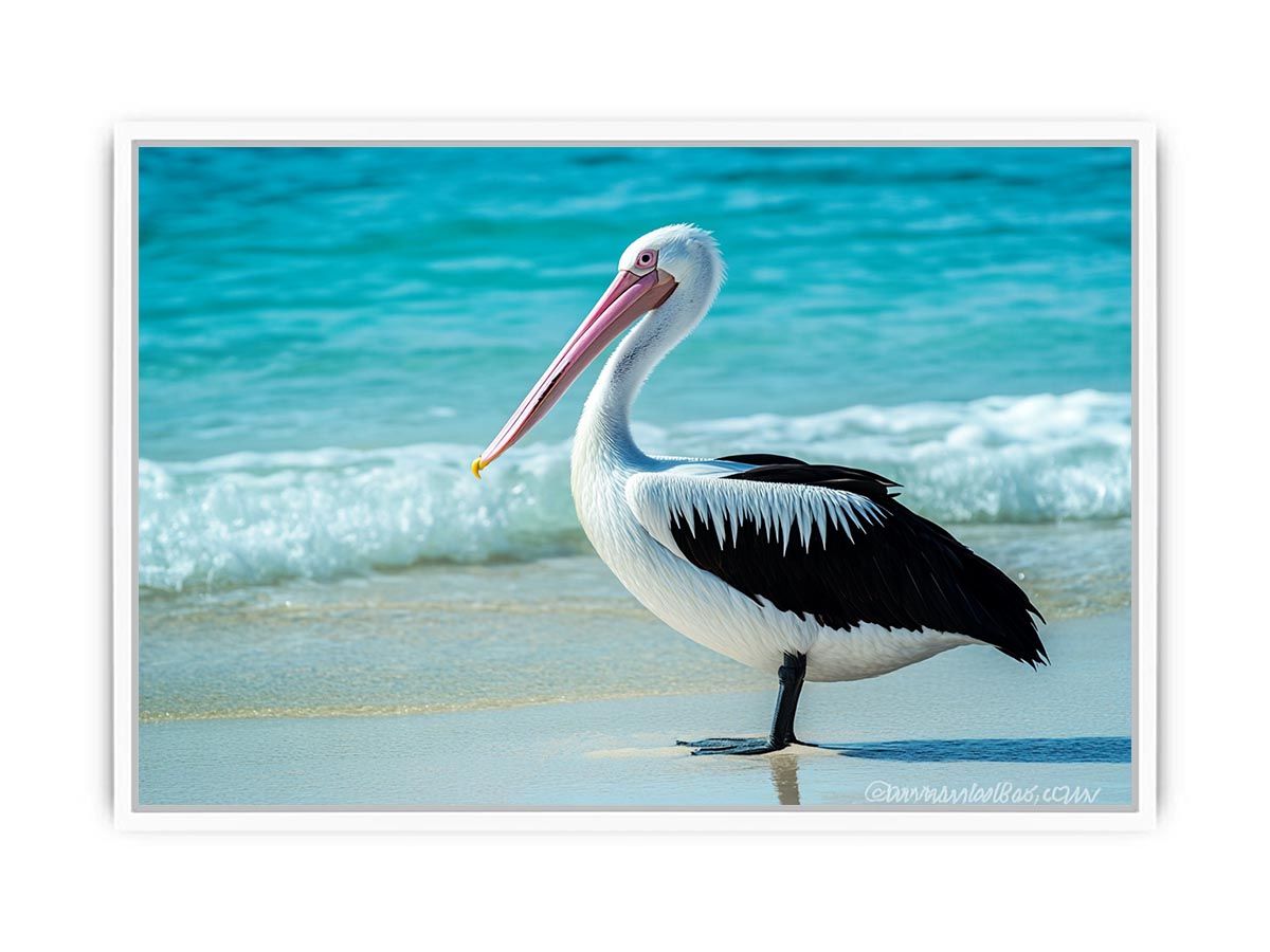 Pelican On Beach Framed Print